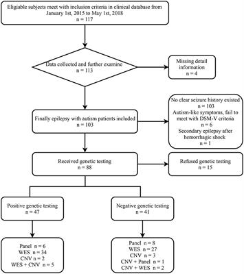 The Clinical and Genetic Features of Co-occurring Epilepsy and Autism Spectrum Disorder in Chinese Children